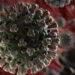 corona-virus
