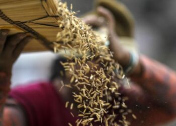 Temasek fund backs India startup bringing AI technology to farms