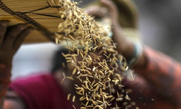 Temasek fund backs India startup bringing AI technology to farms