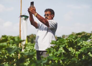 Wadhwani AI partners with startups in agritech space