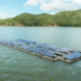 World’s largest floating solar project to start in MP by 2023