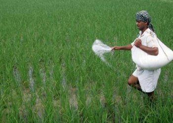 India could utilize AI for growth in agriculture