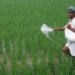 India could utilize AI for growth in agriculture