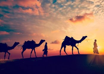 solar park in rajasthan