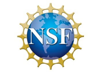 nsf
