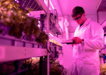 agritech startup