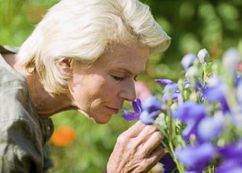retirement plans