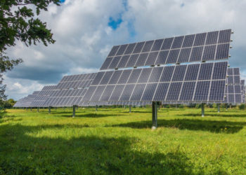 Shree-Cement-to-Develop-106-MW-of-Solar-Projects-to-Meet-its-Captive-Power-Needs