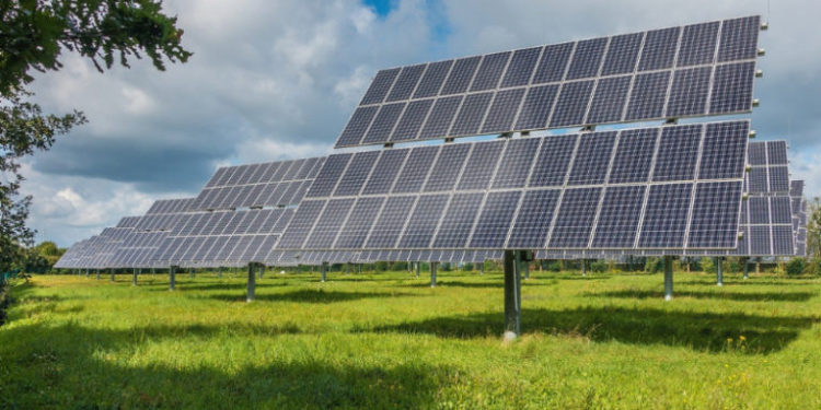 Shree-Cement-to-Develop-106-MW-of-Solar-Projects-to-Meet-its-Captive-Power-Needs