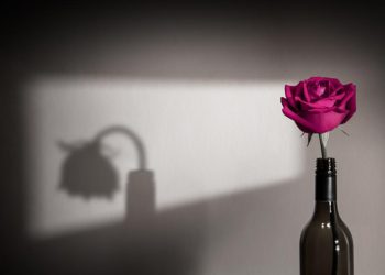 How Do You Take Mental Health Conversations To Rural India?