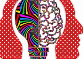 Algorithms Mimic Biological Evolution