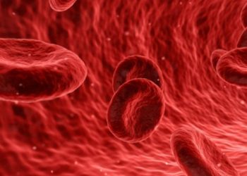blood cancer