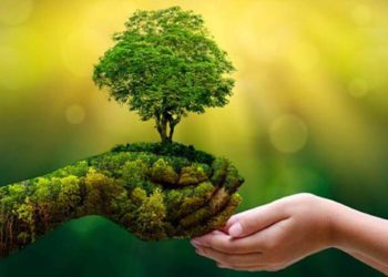 Green-economy