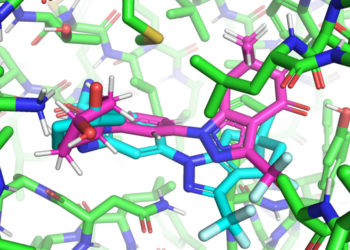 EquiBind-prediction-mit
