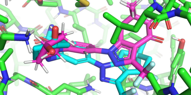 EquiBind-prediction-mit