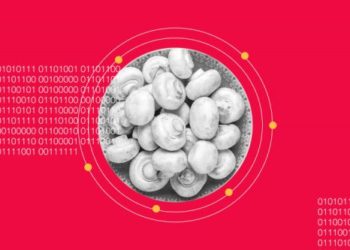 The-Rapidly-Evolving-AI-Ecosystem-and-Mushrooming-Companies