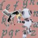 Artificial-intelligence-that-can-study-human-language-patterns