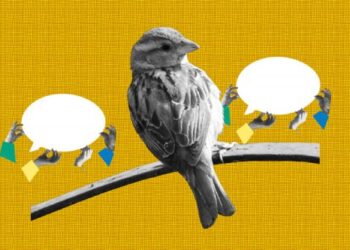 Humans-ask-DeepMinds-Sparrow-to-behave-to-make-AI-Chatbots-safer