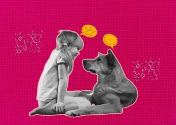 Speaking-with-animals-Yes-machine-learning-is-making-it-possible
