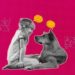 Speaking-with-animals-Yes-machine-learning-is-making-it-possible