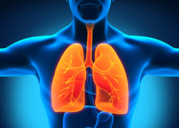 lungs