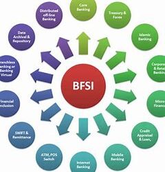 bfsi